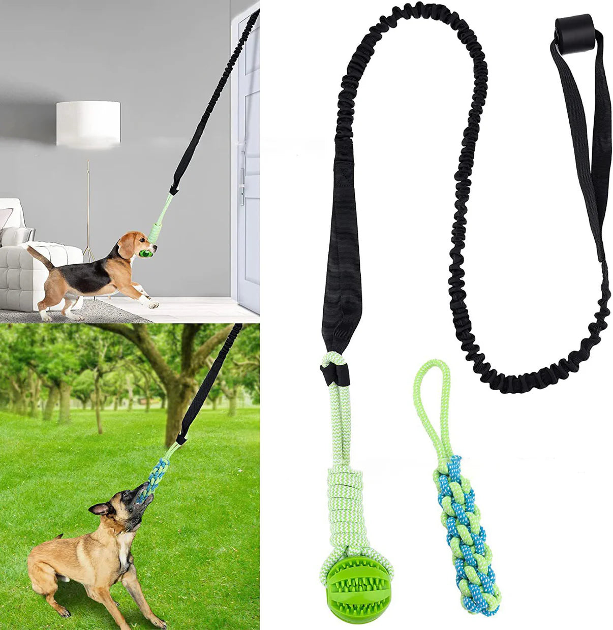 PawPals™ - Giocattolo a sfera per cani